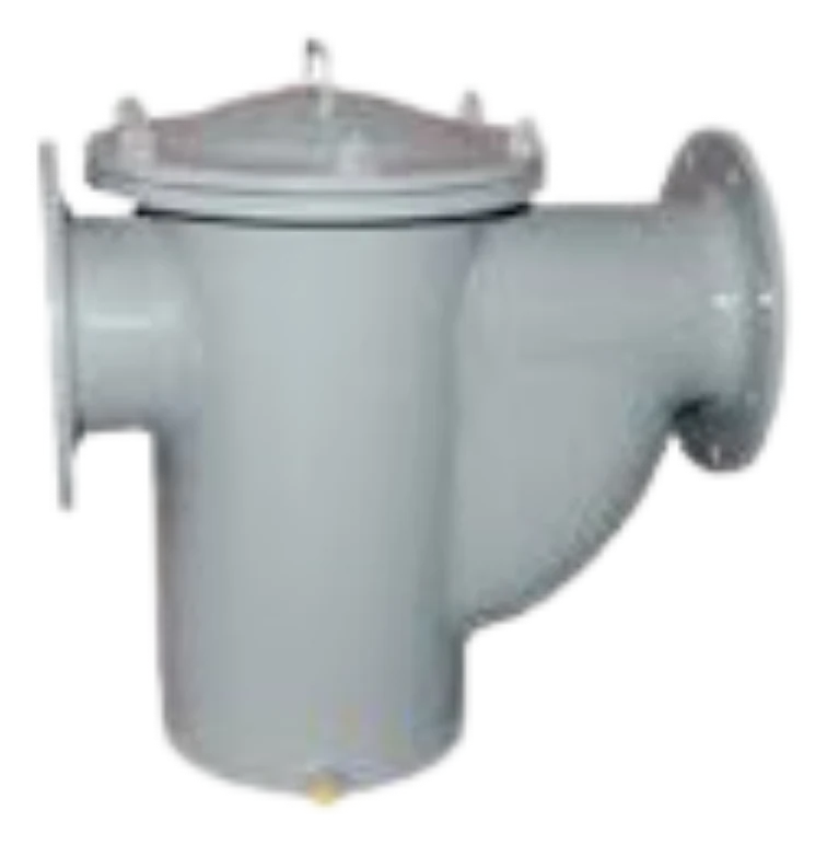Basket Type Strainers — product photograph of the manufactured valve
