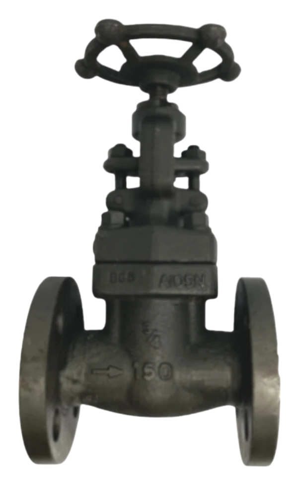 Forged Steel Gate Valve — product photograph of the manufactured valve