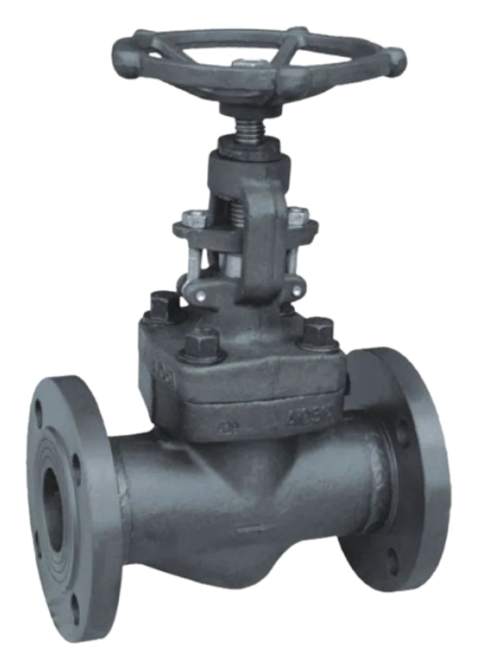 Forged Steel Globe Valves API 602 — product photograph of the manufactured valve